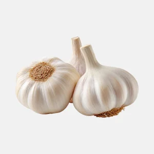 BIO Plante violette Ail Morado (hardneck) (choisir la quantité)