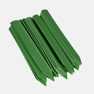 Étiquette de plante verte