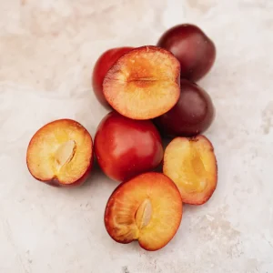 prunier russe 'Kometa'