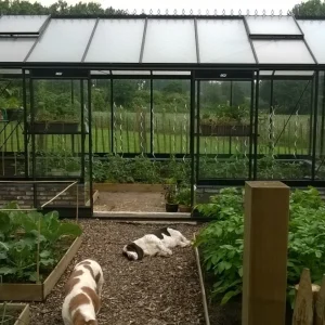 PROMO - ACD R308H (18,15 m²) - Ligne noire