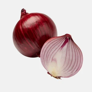 Planter l'oignon 'Red Baron' BIO