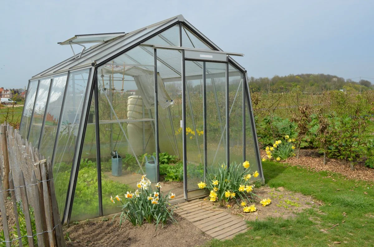 PROMO - ACD S104H (9,12 m2) - Aluline – Image 3