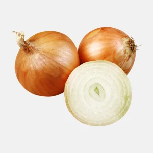 Sturon.pngv1765536467 Oignon 'Sturon' BIO (rond)