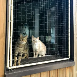 Cadre avec filet pour chat amovible sans trou ni vis - Sur mesure