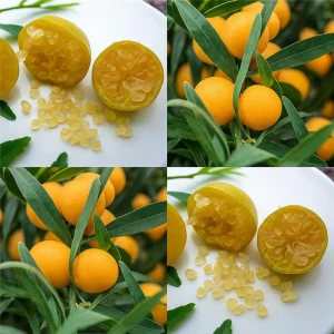 oranger ou citron vert caviar