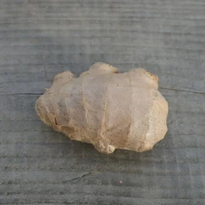 gingembre-nt-rhizome_3e385b51-ce3e-4949-aaca-208059b13dd0.jpgv1720949959 Gingembre (Zingiber officinale) - 1 rhizome