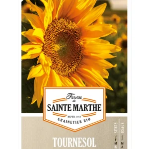 Tournesol annuel - pour 15 m² Graines BIO