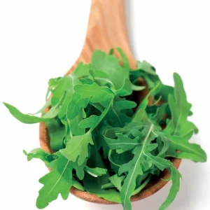 Roquette cultivée Bio