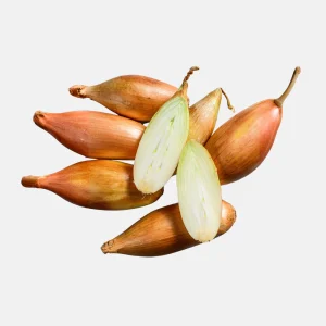 sjalot_longor.pngv1765540485 Échalote 'Longor' BIO 250 grammes