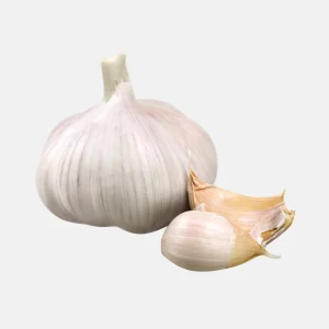 Planter de l'ail blanc - 'Blanke Reuzen' (choisir le nombre de bulbes)